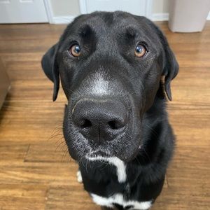 Meet your Posher, Keri